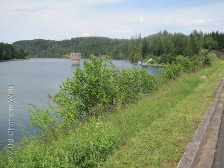 Stausee Ködeltalsperre